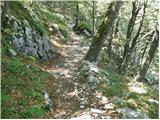 Bohinjsko sedlo - Planina Za Črno goro